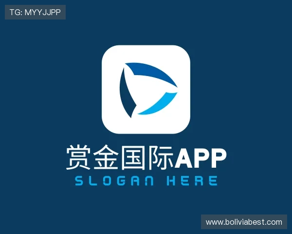 关于赏金国际app